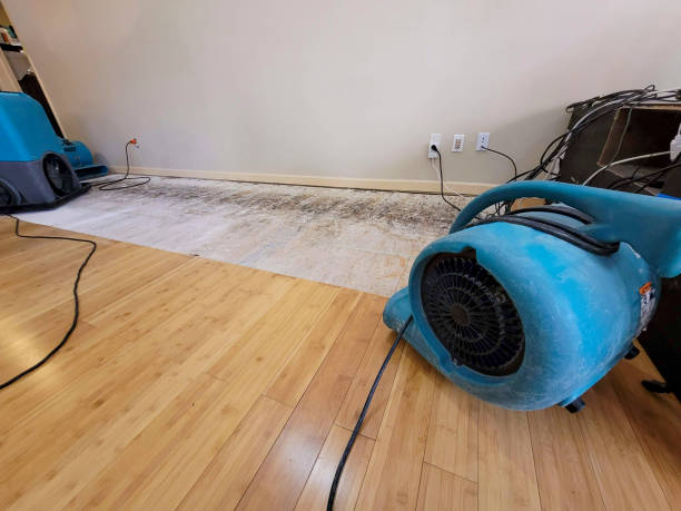 Professional Water Extraction technician working in Pomona, KS